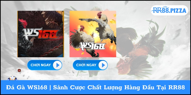 đá gà ws168